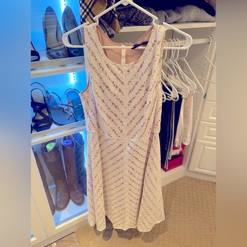 BCBGMaxAzria Dalency Striped Lace Cocktail Length Dress